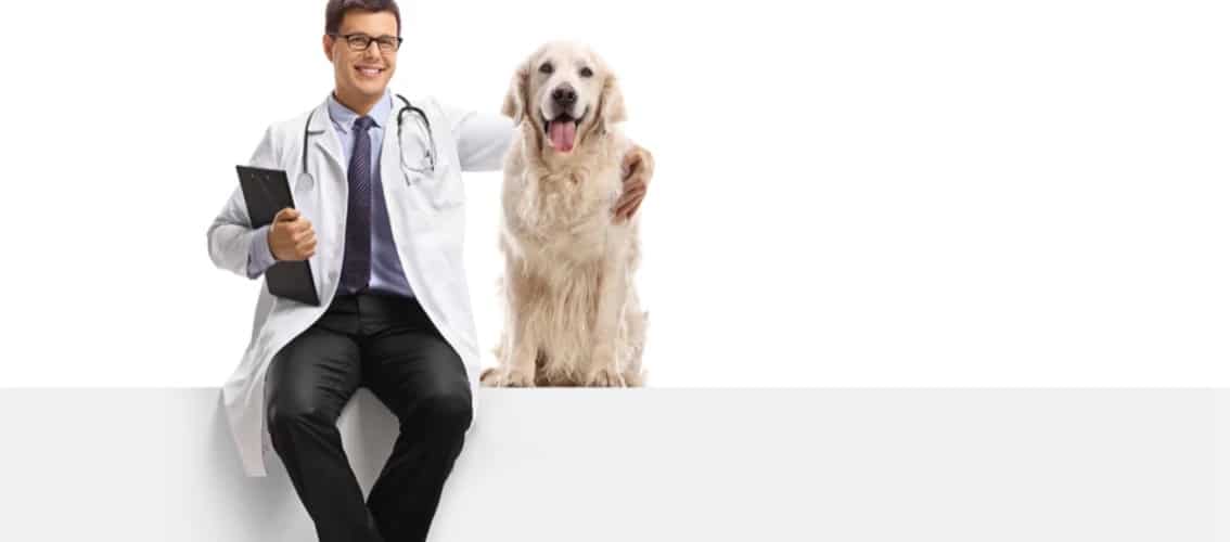 veterinarian put his arm around dog