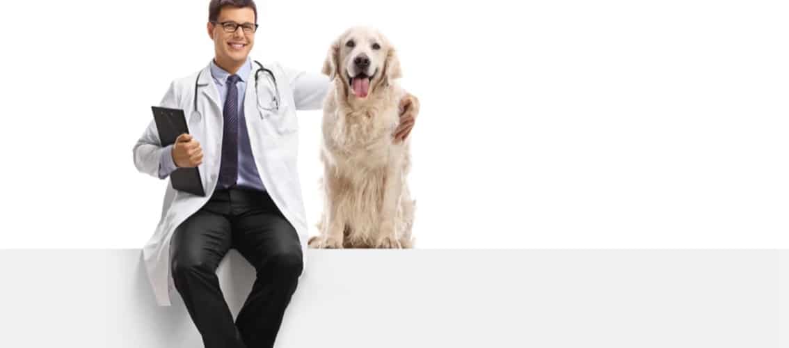 best-disability-insurance-for-veterinarians_qqoi6v