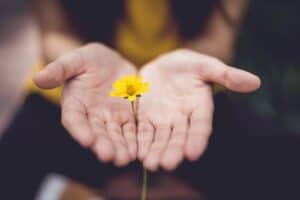 Resident holding a sunflower
